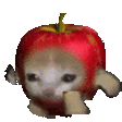 Applecatrun emote