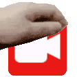 PETTHESTREAMER emote