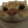 1x