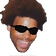TriKool