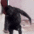 MonkeSpin emote