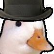 DuckHowdy emote