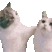2x