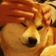 DogePet