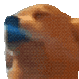 dogJAM emote