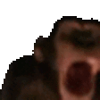 MONKE emote