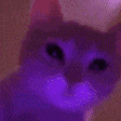 JAMMIN emote
