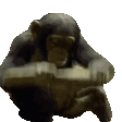 MODS emote