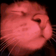 CATJAM