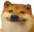 Dogo emote