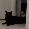 Yoink emote