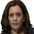 DONOTCUM emote