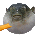 AAUGH emote