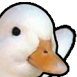 DuckWave emote