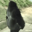 peepoLeave emote