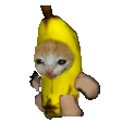 Bananacatrun emote