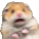 ScaredHamster at 2x