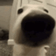 Sniffer
