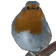 birbJAM