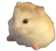 Sits emote