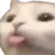 Bobo emote