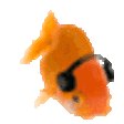 fishJam emote