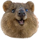 quokkaW