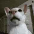 uStinky emote