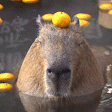 capyJAM emote
