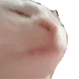 catJAM emote
