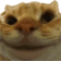 Yesyes