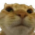 Nono emote