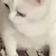 CatGag