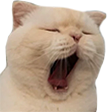 Yawn emote