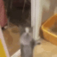 HAPPIE emote