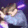 vibePls