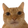WeirdChamp