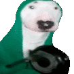 Panela emote