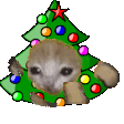 Xmascatrun emote