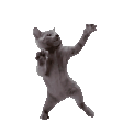 CatDance emote