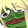 AYAYA