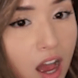 PokiNope emote