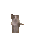 Happie emote