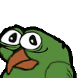 BIRDGERS emote