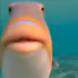 FISH emote