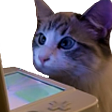 WatchingStream emote