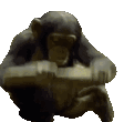 MODS emote