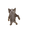 Pussy emote