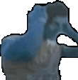 zyzzJAM emote