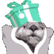 HardyGift emote